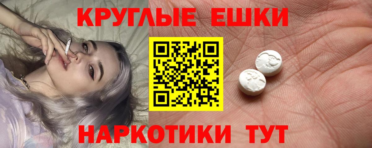 Ecstasy Philipp Plein  Вход с VPN  Нововоронеж 