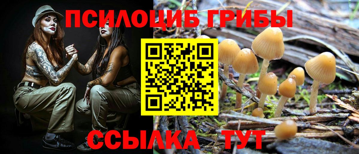 Псилоцибиновые грибы GOLDEN TEACHER  Псилоцибиновые грибы мухоморы  Вход с VPN  Нововоронеж 
